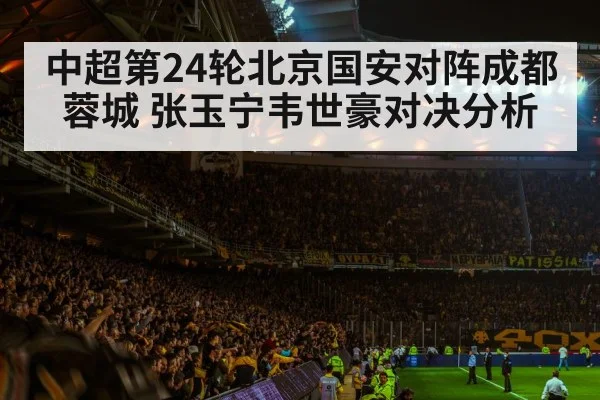 football stadium night crowd