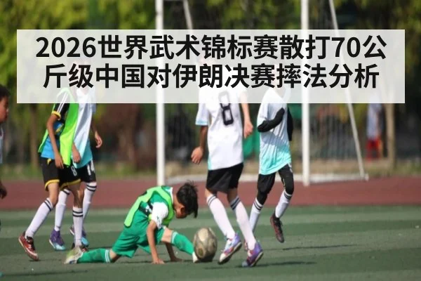 2026世界武术锦标赛散打70公斤级中国对伊朗决赛摔法分析